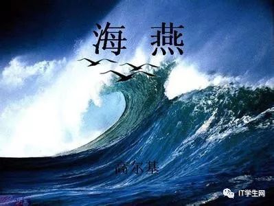 IT�W(xu��)���W(w��ng)Ҫ������